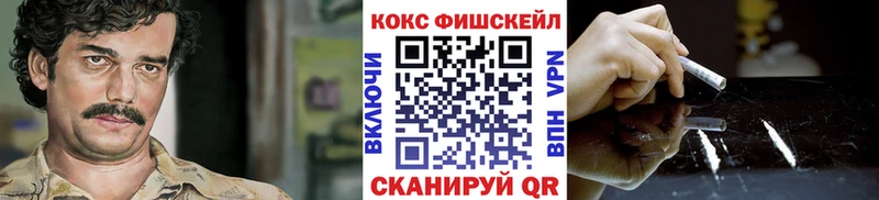 blacksprut ONION  купить наркотики сайты  Дзержинск  КОКАИН FishScale 
