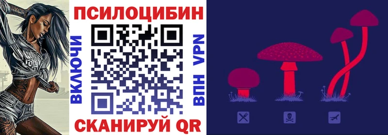 Псилоцибиновые грибы Cubensis  Дзержинск 